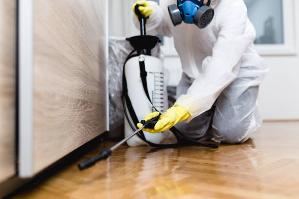  Toast, NC Pest Control Pros