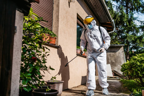 Best Cockroach Control Services  in Toast, NC