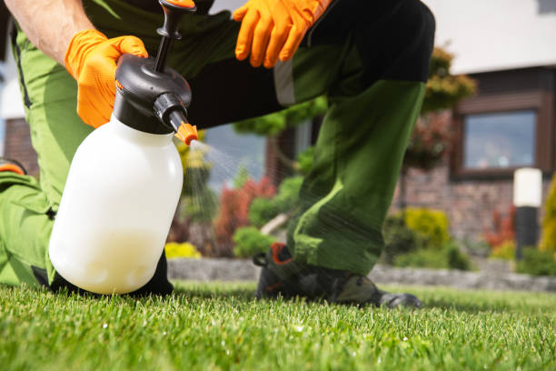 Best Best Pest Control Companies  in Toast, NC