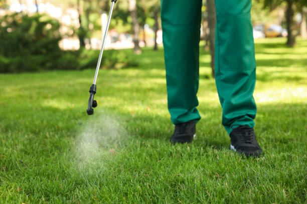 Best Emergency Pest Control  in Toast, NC