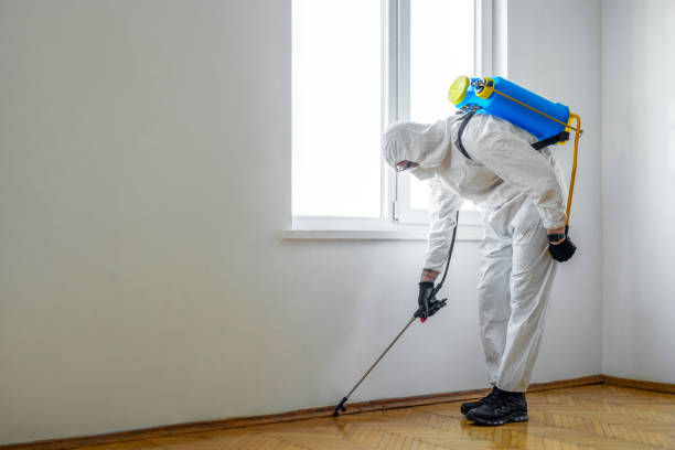 Best Wildlife Control Services  in Toast, NC