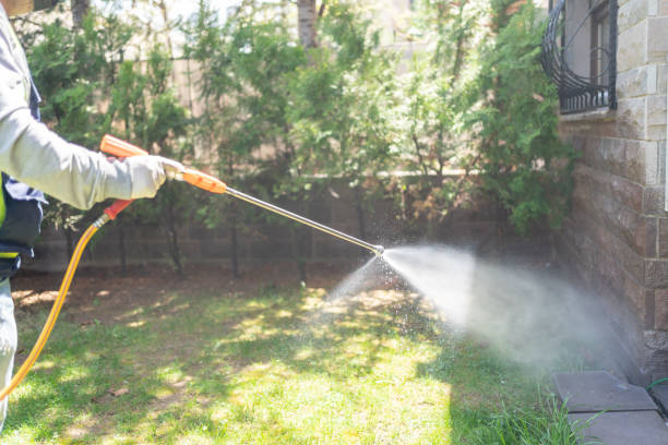 Best Insect Control  in Toast, NC