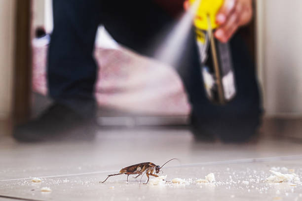 Best Pest Removal Services  in Toast, NC