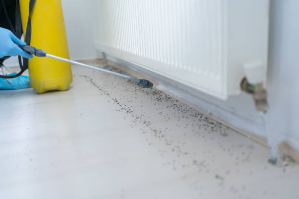 Best Exterminator Services  in Toast, NC